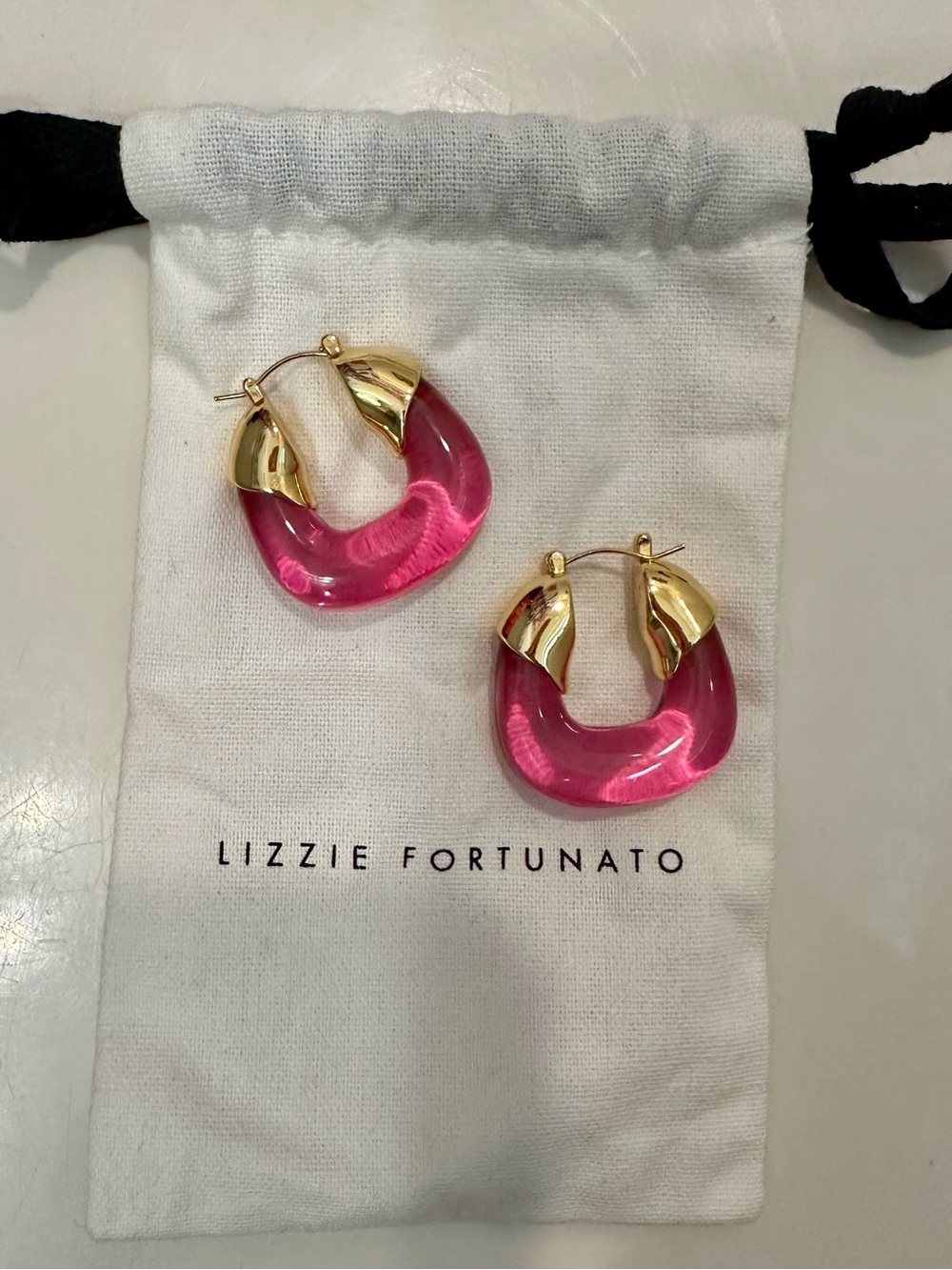 Lizzie Fortunato Pink Resin Hoop Earrings with Gold Accents